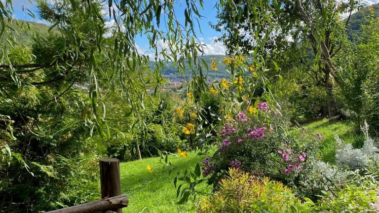Frühling auf der Alb.